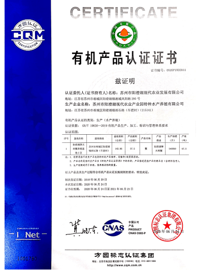 新奧門特免費(fèi)資料大全|透徹釋義解釋落實(shí),新澳門特免費(fèi)資料大全，透徹釋義解釋落實(shí)的重要性