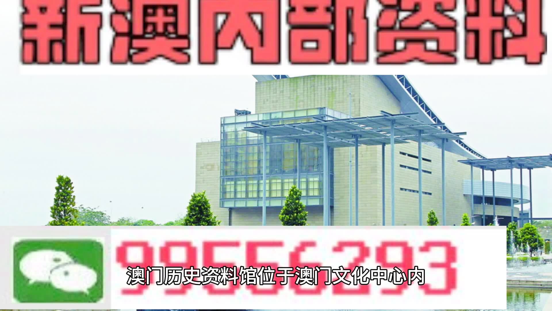 新澳2024年精準一肖一碼|逐步釋義解釋落實,新澳2024年精準一肖一碼，逐步釋義解釋與落實策略