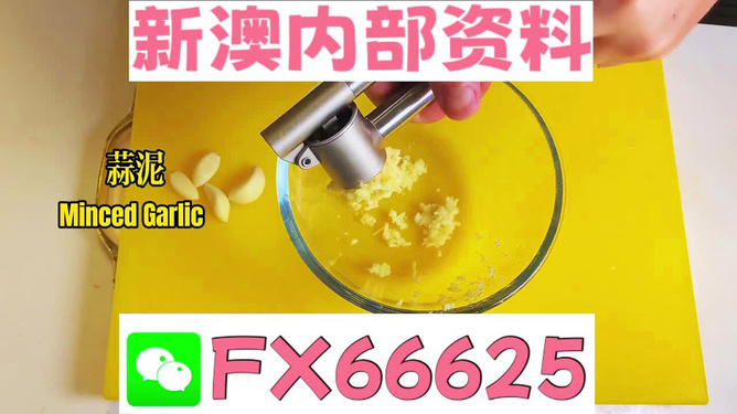 新澳精準資料期期精準24期使用方法|機巧釋義解釋落實,新澳精準資料期期精準24期使用方法與機巧釋義解釋落實