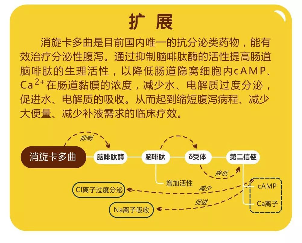 澳門免費(fèi)資料 內(nèi)部資料|速效釋義解釋落實(shí),澳門免費(fèi)資料內(nèi)部資料與速效釋義解釋落實(shí)研究