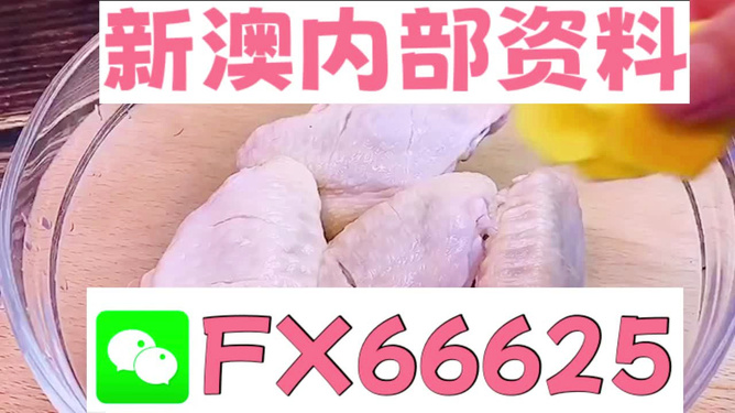 新澳門一碼中精準(zhǔn)一碼免費(fèi)中特|更新釋義解釋落實(shí),新澳門一碼中精準(zhǔn)預(yù)測(cè)，釋義解釋與落實(shí)的重要性