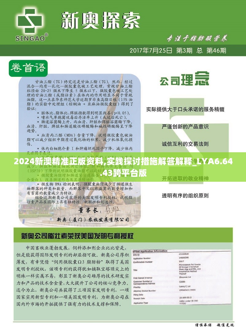 2025新奧精準(zhǔn)正版資料|暢通釋義解釋落實(shí),解析新奧精準(zhǔn)正版資料，暢通釋義、深入解釋與有效落實(shí)