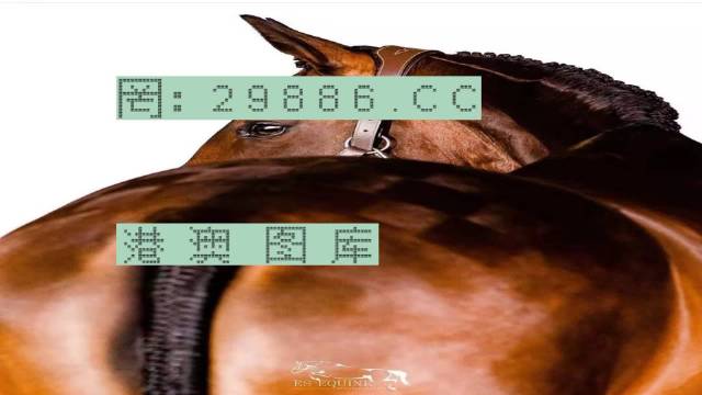 4949澳門特馬今晚開獎53期|共同釋義解釋落實,澳門特馬第53期開獎揭曉，共同釋義與落實的重要性