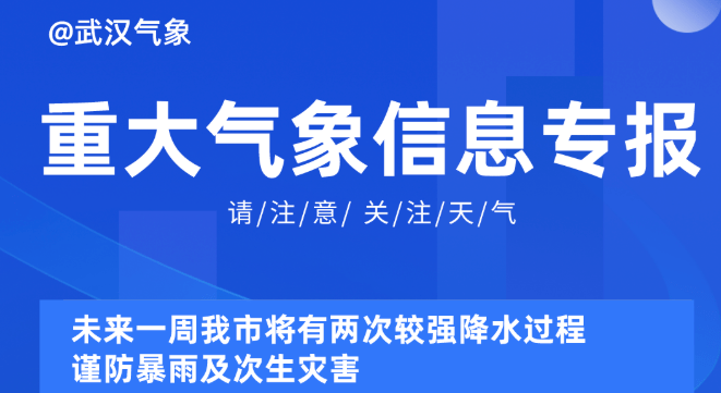 2025新奧正版資料最精準(zhǔn)免費大全|以點釋義解釋落實,探索未來，2025新奧正版資料最精準(zhǔn)免費大全的全方位解讀與落實策略