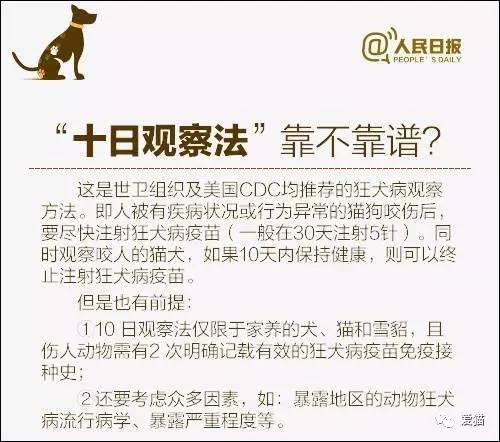 新澳天天開獎資料大全最新54期129期|準(zhǔn)確釋義解釋落實,新澳天天開獎資料大全最新解讀，從第54期到第129期的深度解析與準(zhǔn)確釋義