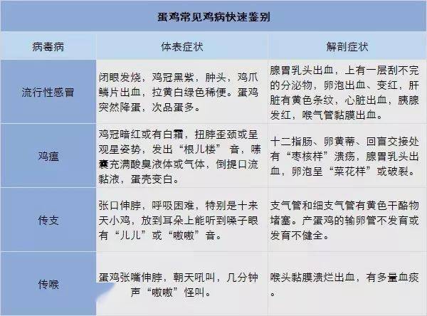 2025新澳今晚資料雞號(hào)幾號(hào)|飛速釋義解釋落實(shí),探索未來(lái)，2025新澳今晚資料雞號(hào)及飛速釋義解釋落實(shí)的重要性