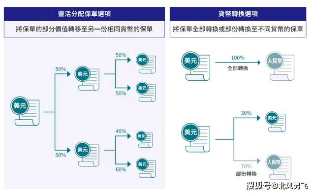 最準(zhǔn)一肖一碼100%免費(fèi)|深度釋義解釋落實(shí),揭秘最準(zhǔn)一肖一碼，深度釋義與免費(fèi)落實(shí)之道