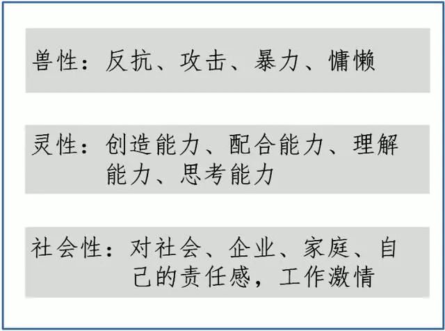 今晚澳門特馬開什么今晚四不像|競爭釋義解釋落實,今晚澳門特馬開什么今晚四不像，競爭釋義解釋落實的重要性