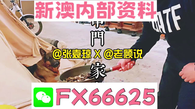 新澳門精準(zhǔn)資料大全管家婆料|效益釋義解釋落實(shí),新澳門精準(zhǔn)資料大全與管家婆料，效益釋義解釋及實(shí)施策略