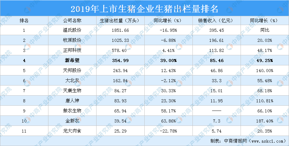 2025新澳精準(zhǔn)資料大全|項(xiàng)目釋義解釋落實(shí),新澳精準(zhǔn)資料大全，項(xiàng)目釋義解釋與落實(shí)策略