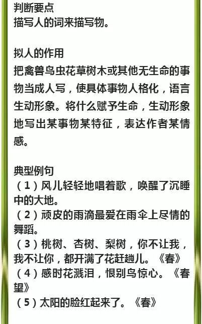 新澳精選資料免費(fèi)提供|準(zhǔn)繩釋義解釋落實(shí),新澳精選資料免費(fèi)提供，準(zhǔn)繩釋義、解釋落實(shí)的重要性