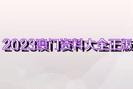 2025新奧精準(zhǔn)正版資料,2025新奧精準(zhǔn)正版資料大全|執(zhí)行釋義解釋落實(shí),探索與解讀，關(guān)于新奧精準(zhǔn)正版資料的深入解析與實(shí)施策略