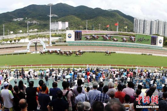 香港2025最準馬資料免費|權接釋義解釋落實,香港賽馬文化深度解讀，2025最準馬資料免費與權接釋義解釋落實