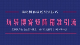 澳門(mén)天天免費(fèi)精準(zhǔn)大全|盈利釋義解釋落實(shí),澳門(mén)天天免費(fèi)精準(zhǔn)大全與盈利釋義解釋落實(shí)