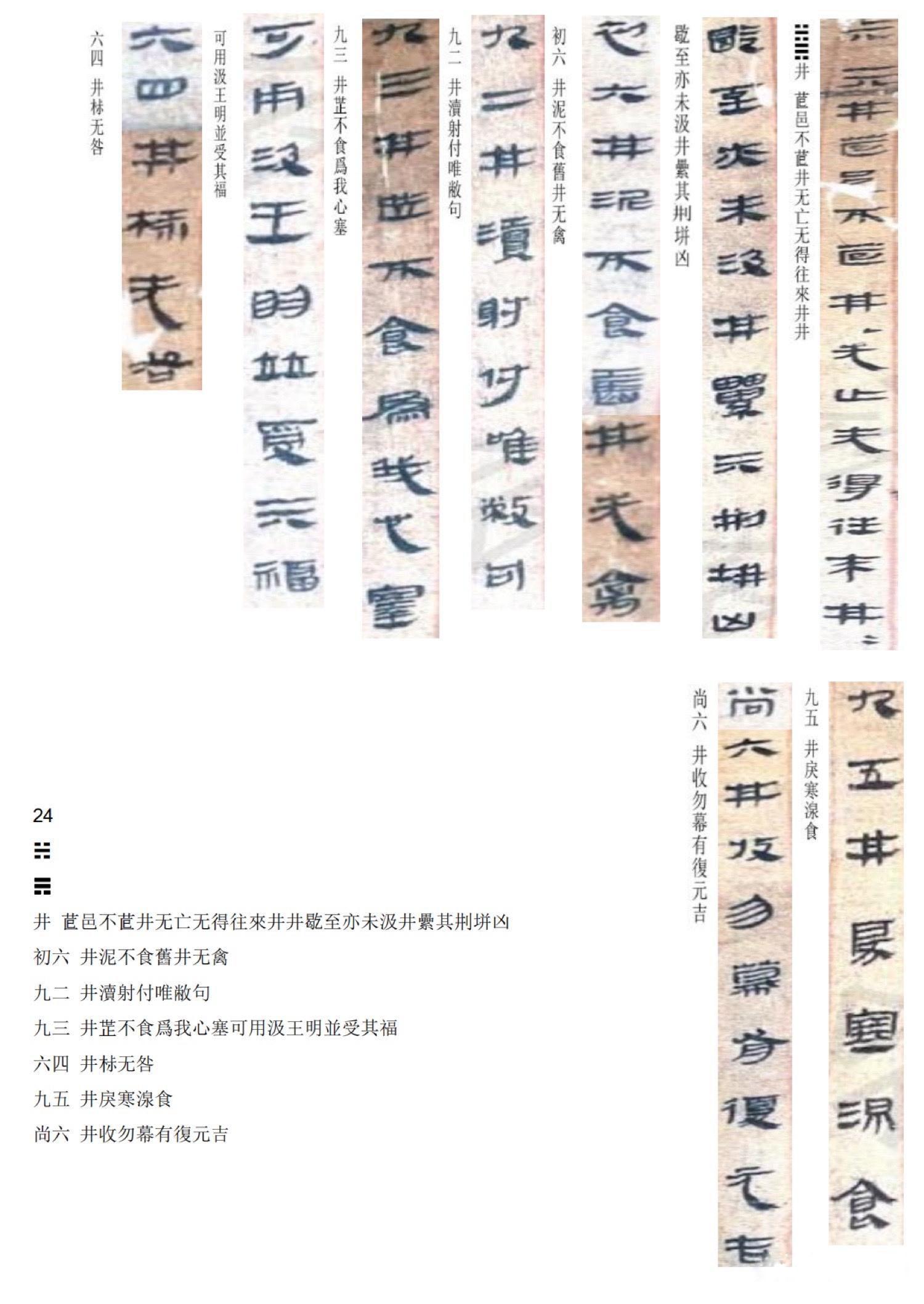 2025十二生肖49個(gè)碼|損益釋義解釋落實(shí),揭秘十二生肖與數(shù)字49的奧秘，損益釋義與行動(dòng)落實(shí)