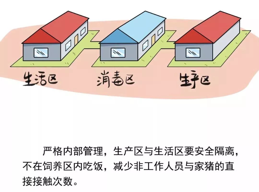 今期四不像圖今晚|政企釋義解釋落實(shí),今期四不像圖與政企釋義解釋落實(shí)的探討