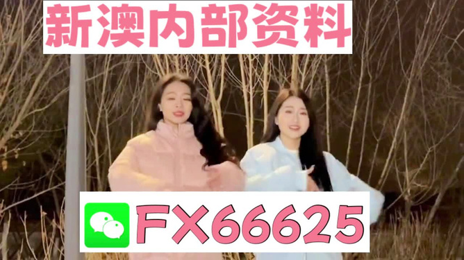 管家婆一碼一肖100中獎(jiǎng)71期|連貫釋義解釋落實(shí),管家婆一碼一肖與中獎(jiǎng)71期，連貫釋義、解釋與落實(shí)