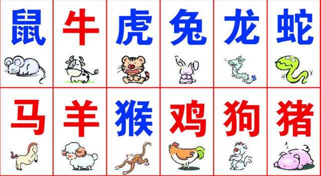 一碼一肖100%精準(zhǔn)生肖第六|事在釋義解釋落實(shí),一碼一肖，精準(zhǔn)生肖第六感的釋義與落實(shí)解釋