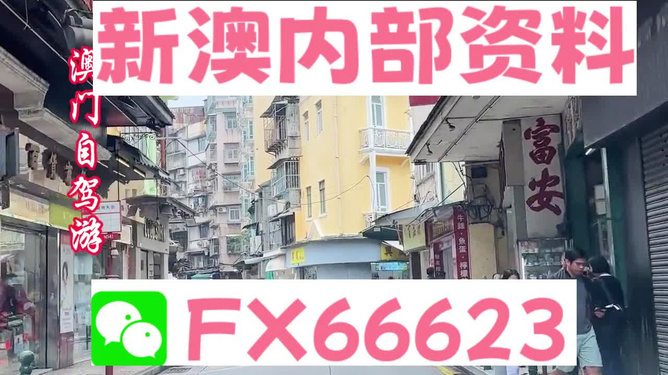 新澳精準(zhǔn)資料免費提供|平穩(wěn)釋義解釋落實,新澳精準(zhǔn)資料免費提供，平穩(wěn)釋義、解釋與落實