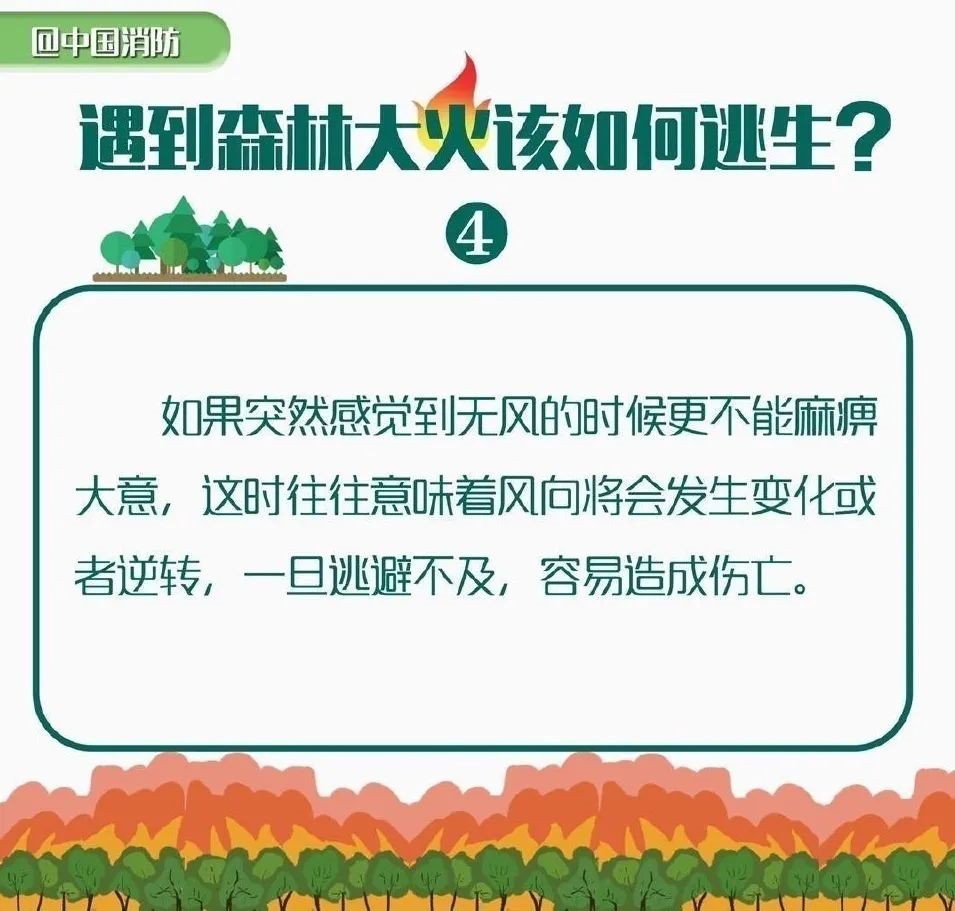 2O24新奧正版資料免費提供|智謀釋義解釋落實,探索未來之門，關(guān)于新奧正版資料免費提供與智謀的深度解讀