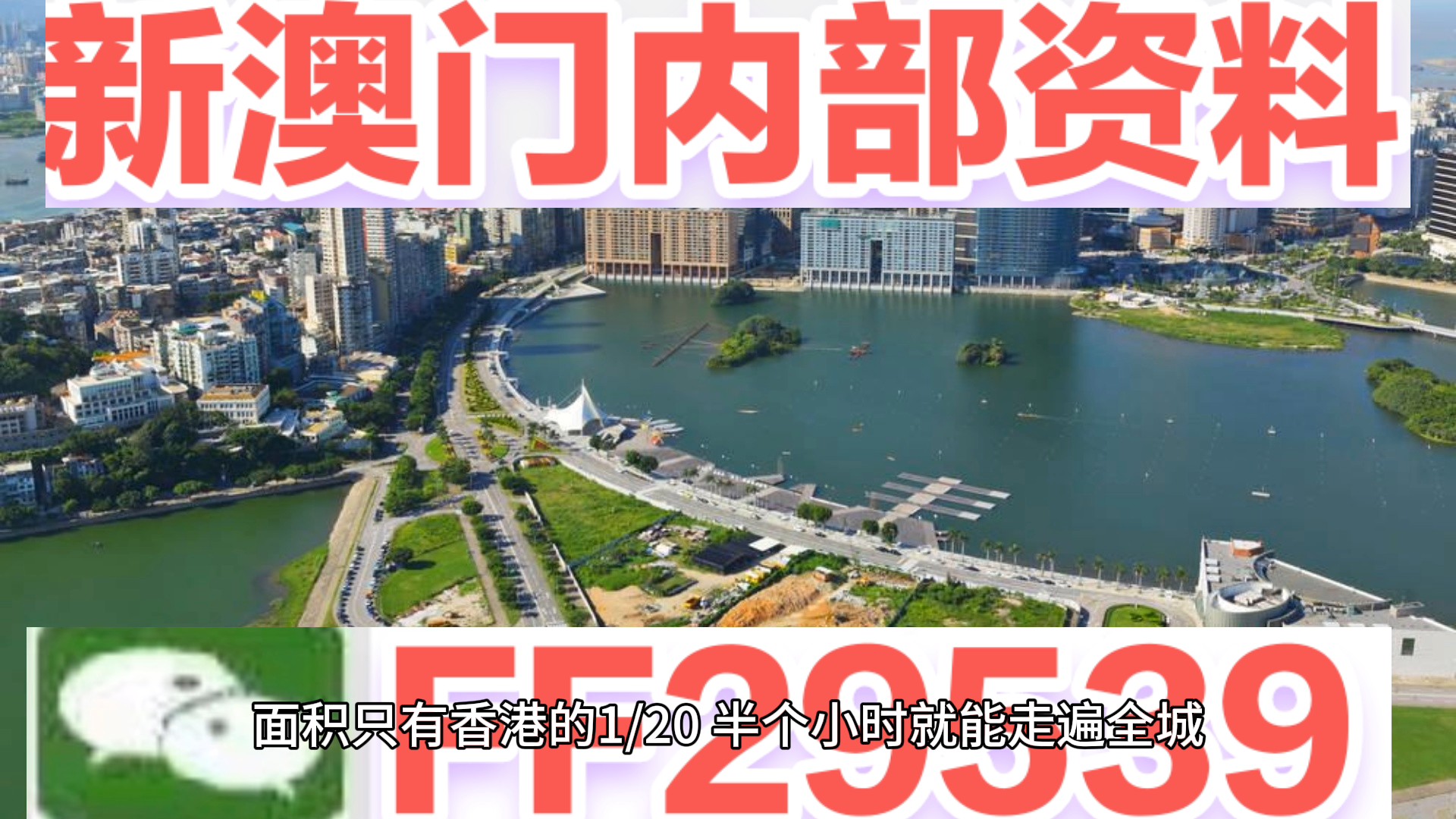 2025今晚新澳門開獎號碼|生花釋義解釋落實,探索未知，關(guān)于新澳門開獎號碼與生花釋義的深入解讀