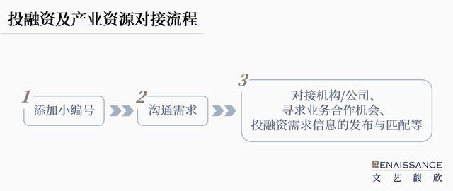 993994www跑狗玄機(jī)|融資釋義解釋落實(shí),揭秘融資過程與玄機(jī)，以跑狗平臺為例，解讀融資釋義與落實(shí)策略