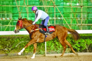 澳門今晚開特馬四不像圖|專斷釋義解釋落實,澳門今晚開特馬四不像圖，專斷釋義與解釋落實的探討