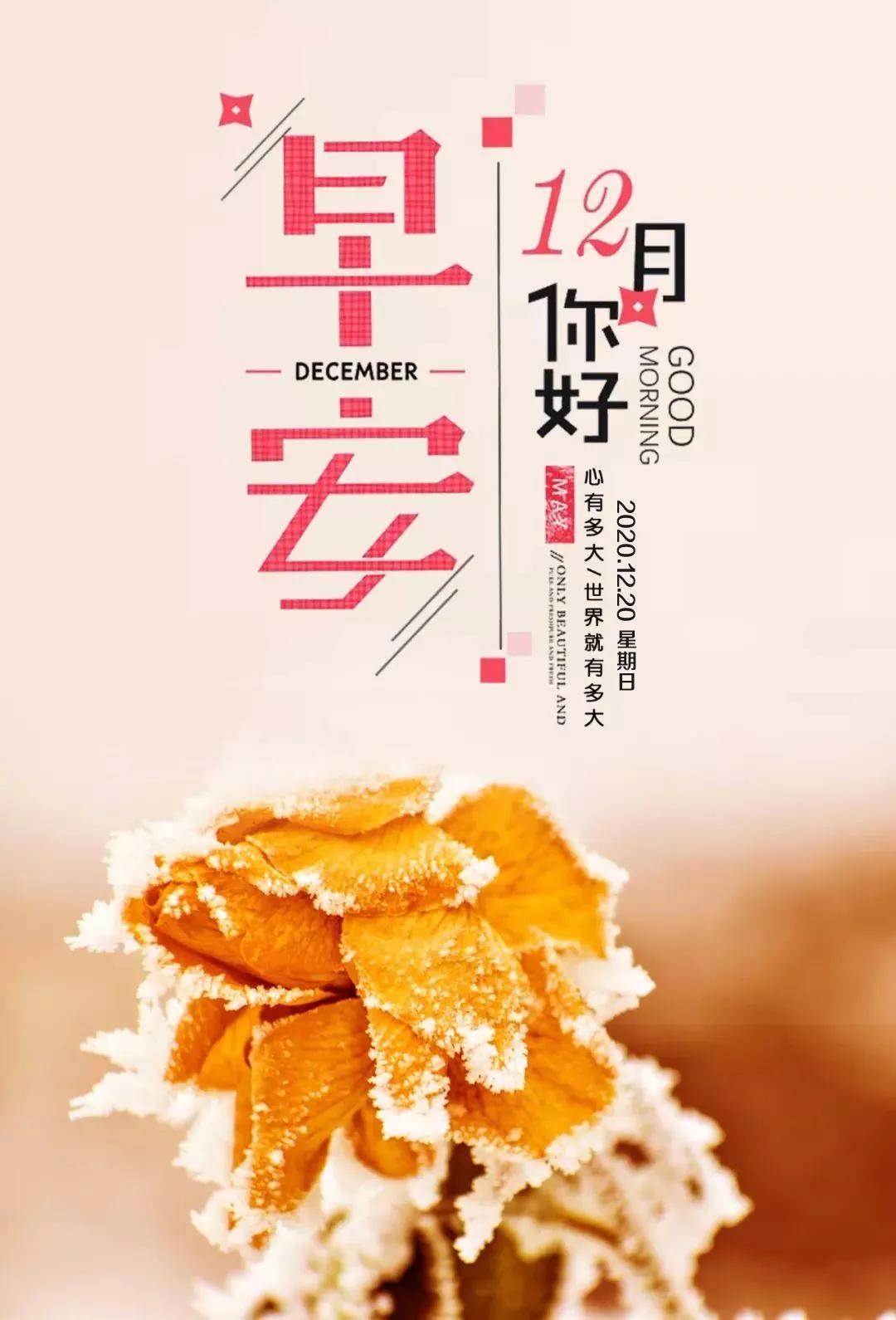 澳門(mén)天天好好兔費(fèi)資料|會(huì)議釋義解釋落實(shí),澳門(mén)天天好好兔費(fèi)資料與會(huì)議釋義解釋落實(shí)的探討