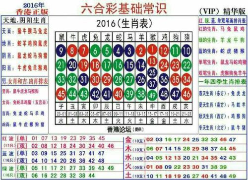 2025十二生肖49碼表|進(jìn)度釋義解釋落實(shí),解讀十二生肖與數(shù)字49的關(guān)聯(lián)，進(jìn)度釋義與落實(shí)行動